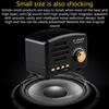 Outdoor Portable Wireless Vintage Stereo Speaker with 1200mAh Capacity Battery Long Battery Life FM Radio TF Card Player