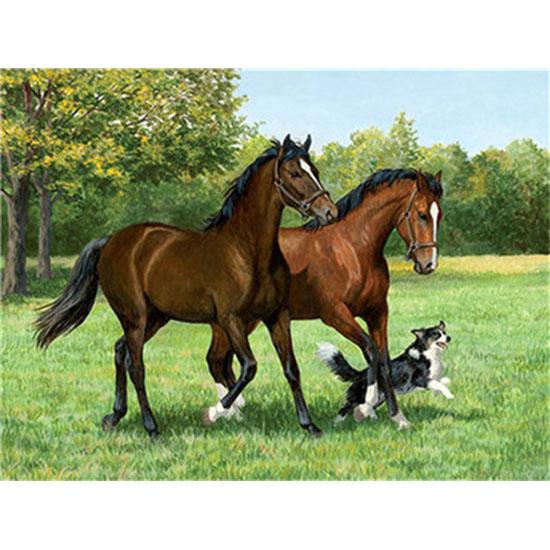 

5D Алмазная картина Мозаика Лошадь Полный дрель Quare/круглая алмазная вышивка Подарок или украшениекровать