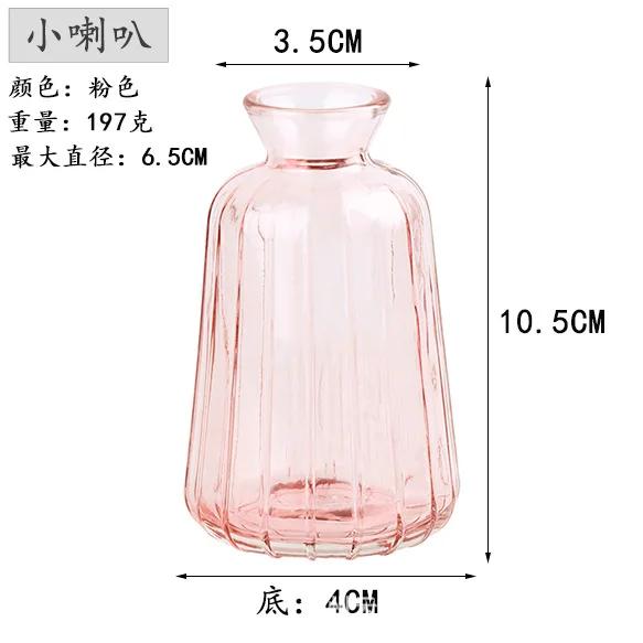 Decorative Flower Bottle Nordic Glass Vase Transparent Bud Vase Designed Hydroponic Plant Pot Living Room Decor Table Ornaments