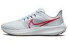 Air Zoom Pegasus 39 Grey Bright Crimson DH4071-007