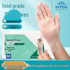 INTCO Disposable Gloves