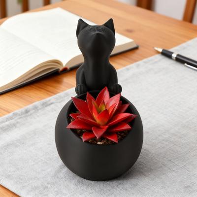 Black Cat Planter Animal Shape Succulents Herb Pot Indoor Outdoor Plants Flower Pot Container Home