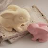 Easter Bunny Silicone Mold 3D Silicone Casting Moulds Holiday Plaster Mould For Plaster Party Planners Art Teachers Holiday