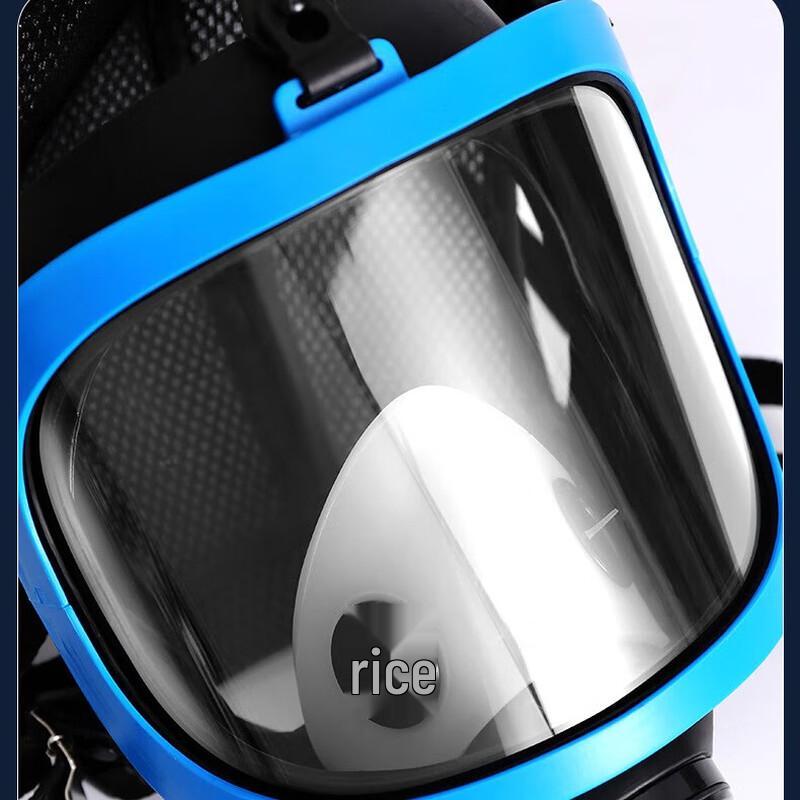 

OIMG Full Face Respirator Mask