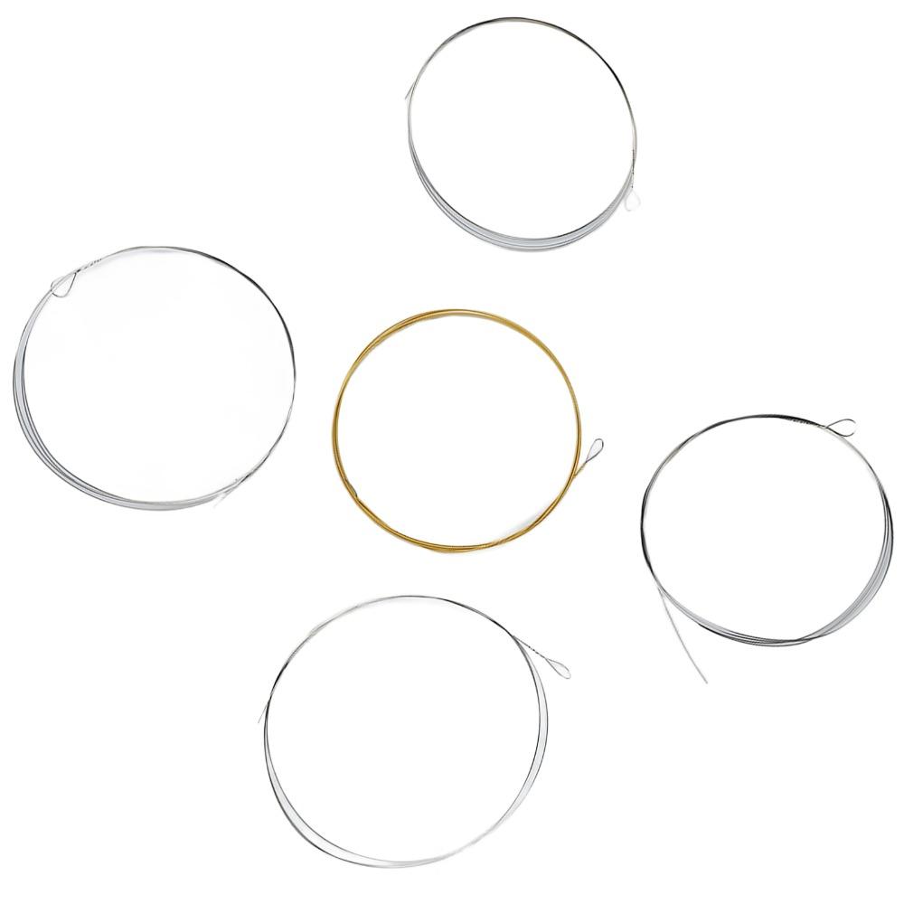 Stainless Steel Material 5 String Banjo Strings Stainless Steel Strings  For Banjo Playing