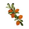 Vintage Orange And Berries Glass Brooch Handmade Crystal Fruit Pin For Women Elegant Floral Accessory