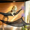 5Pcs Reptile Hammock Lounger Ladder Accessories Set for Large Small Bearded Dragons Anole Geckos Lizards Snakes Terrariums Decor