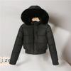 Winter new down cotton-padded clothes women's short inner velvet cotton-padded clothes loose hooded small cotton-padded jackets
