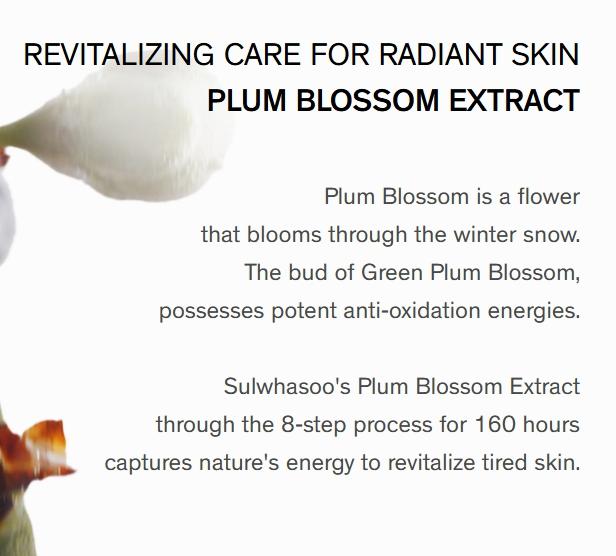 5 pièces/75 ml_[SULWHASOO] Émulsion Revitalisante Essentielle EX 15 ml (Échantillon)