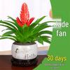 Jade Fan: Indoor Easy-Care Green Plant for Wealth & Blooms