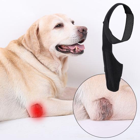 Dog Knee Rear Leg Brace with Fastening Strap Wear Resistant Ultralight Adjustable
