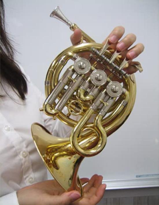 J. Michael Pocket Horn PFH-500