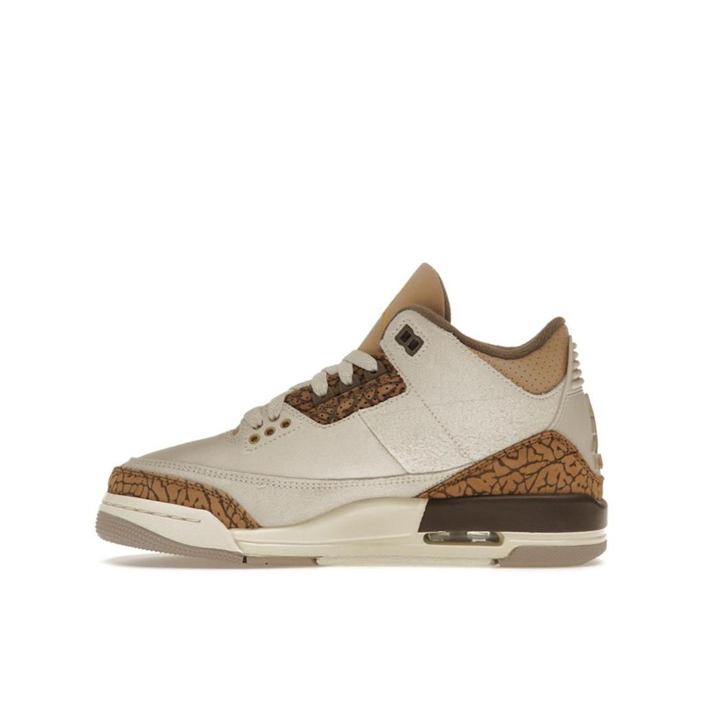 Air Jordan 3 Retro GS Palomino Barnesko Krem Lys-Orewood-Brun Metallisk-Gull DM0967-102