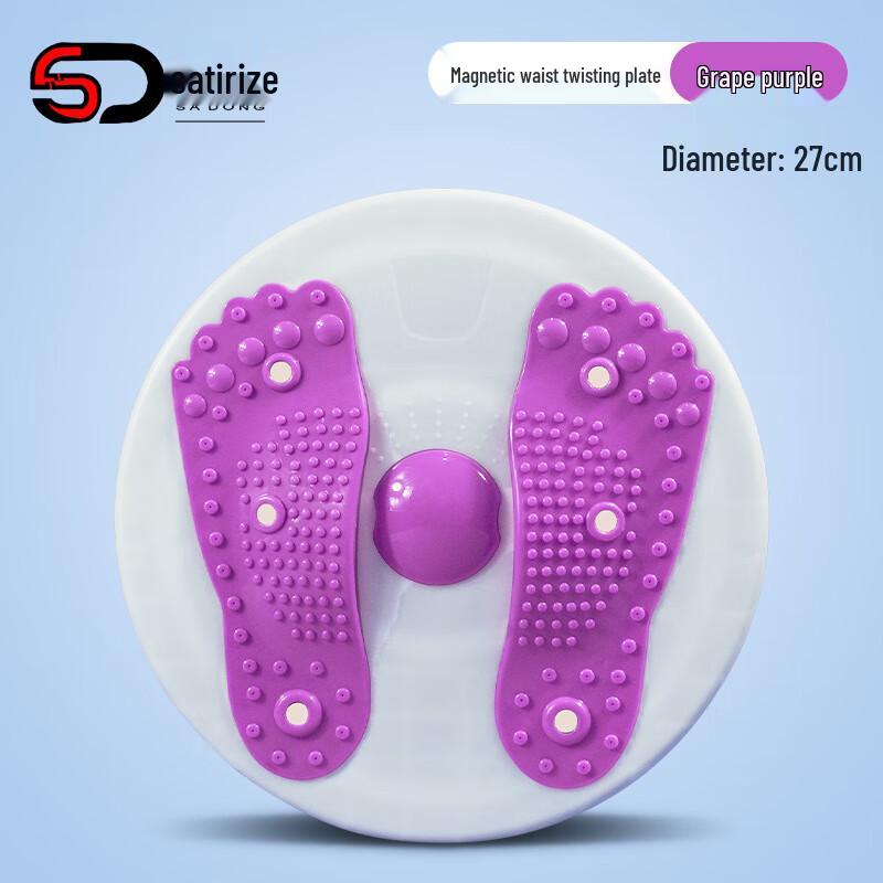 Xinboda Magnetic Waist Twister Fitness Disc