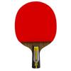 Double Fish 6-Star Penhold Table Tennis Racket