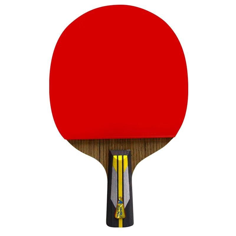 Double Fish 6-Star Penhold Table Tennis Racket