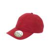 Brain Waves Organic Cotton Unstructured Baseball Cap