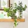Rustproof Garden Climbing Frame Leaf Shaped Design Flowers Trellis Plant Trellis  Indoor Outdoor