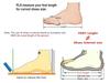 Barbados National Flag Water Shoes Men Women Comfortable Home Garden Clogs Custom Sandals Beach Breathable Hole Slippers
