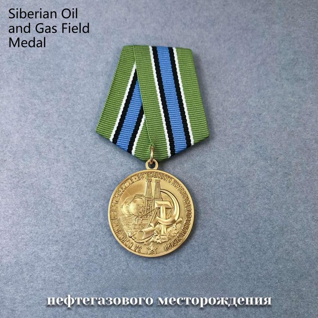 Soviet Medal, Commemorative Medal, Bia Railway Medal, Reclamation of Oil and Gas Fields, Southern Region, Metallurgical Badge, Metal, Listing