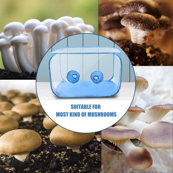 Mushroom Cultivation Tent with Two Gloves Transparent Propagation Stations for Microbiology Enthusiasts