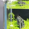Glass CO2 Diffuser U Shaped R Shaped for Aquarium Planted for Tank Clear Glass Aquarium Supply Accessories 7.9" Length