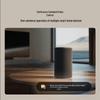 Xiaomi Smart Speaker Pro (CN-Version)
