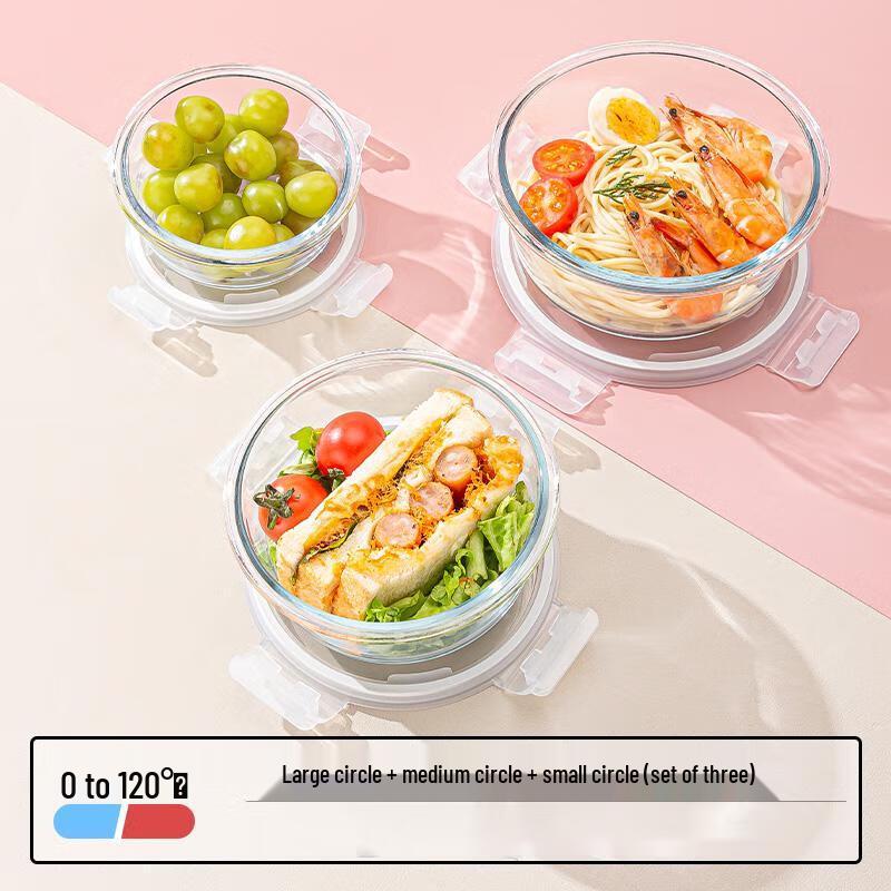 Qianxing Microwaveable Segmented Glass Lunch Box Set