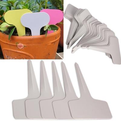 Famiglia e giardino 50 pezzi in plastica per etichette a forma di T per piante, decorazione floreale per vivaio