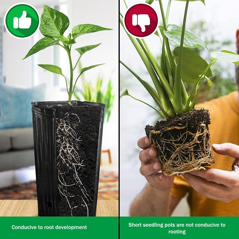 

20Pcs Plastic Deep Nursery Pots Treepots With Ventilation And Drainage Black Square Seed Starting Pots Flower Plant Containers 20Pcs