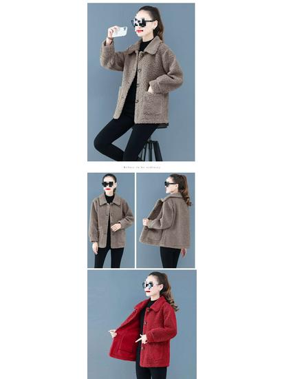 Stylish Faux Lamb Wool Coat for Women Aged 50-60: Warm Particle Velvet Top for Middle-Aged and Elderly Mothers