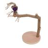Parrot Standing Stick Safe Natural Detachable Wood Bird Perch Stand with Base for Birds Parrots