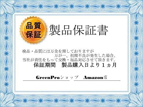 GreenAuto Karcher Jet Lance Nozzle for Car Wash, Includes Dedicated Bag, Compatible with K2, K3, K4, K5, K6, and K7 Pressure Washers