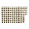 300PCS 10mm Fly Tying Eyes Vivid Colors Artificial Fish Eyes Fishing Lure Eyes  For Fly Tying
