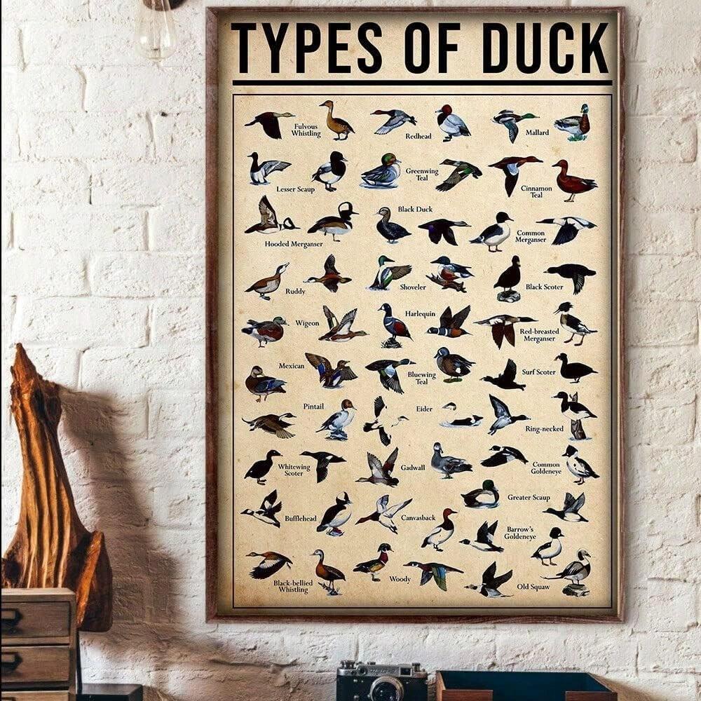 Vintage Duck Breeds Tin Sign Metal Poster Retro Kitchen Wall Decor Farmhouse Bar 20x30