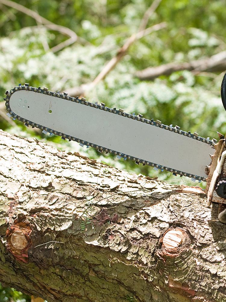 12 Inch Metal Saw Chain 22 Teeth 45 Drive Links Replacement Chainsaw Saw Chain Spare Parts 3/8inch Pitch Electric Saw Accessory