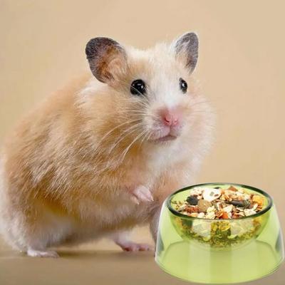 Plastic Pet Feeding Bowl Transparent Hamster Food Basin New Rat Food Water Dish  Home