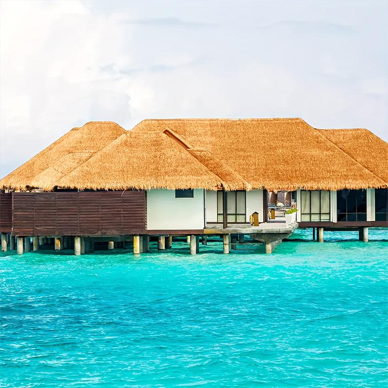 0.5x1m Fake Straw Lawn Mats Fire-Retardant Straw Roofing Eco-Friendly Gazebo Thatch Low-Maintenance Thatch Sheets