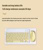 Jingzun Bluetooth 10-Inch Keyboard & Mouse Set for iPad and Tablets with Touch Control & Personalized Color Printing