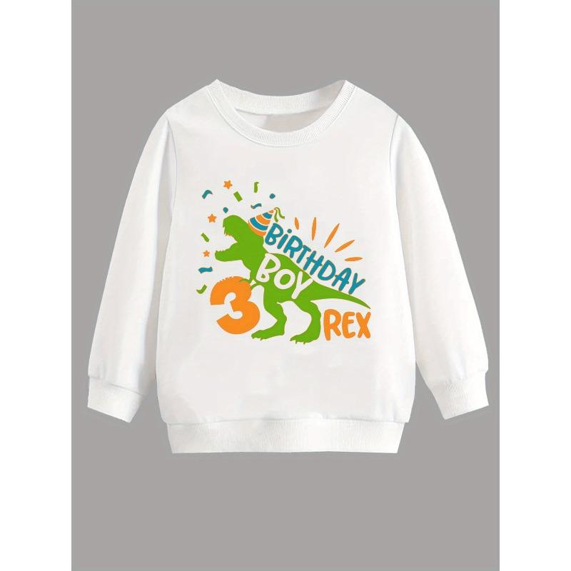 Kids Sweatshirt Registered Base Dinosaur 3rd Birthday Print -Lined Warm Boys' Round Neck Long Sleeve Top, Fashion Print Pattern Children's