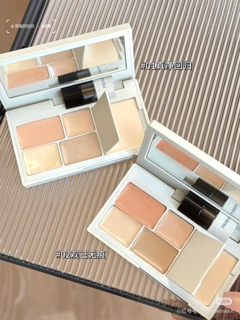 INSBAHA 5 Colores Corrector Iluminador Marcas de Acné Ojeras Surco Lagrimal Corrector Facial Permanente Plato de Polvos Fijadores