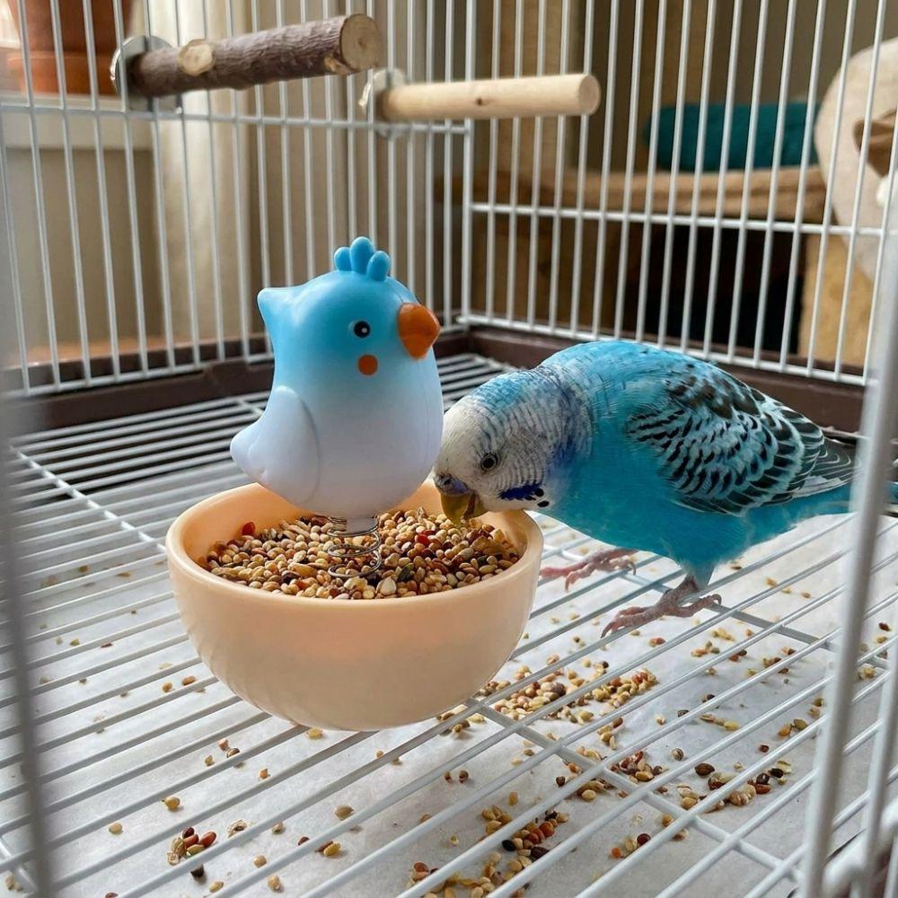 Anti Spill Bird Food Bowl Large Capacity Pet Feeding Cup Practical Food Water Dish Small Pet Bird