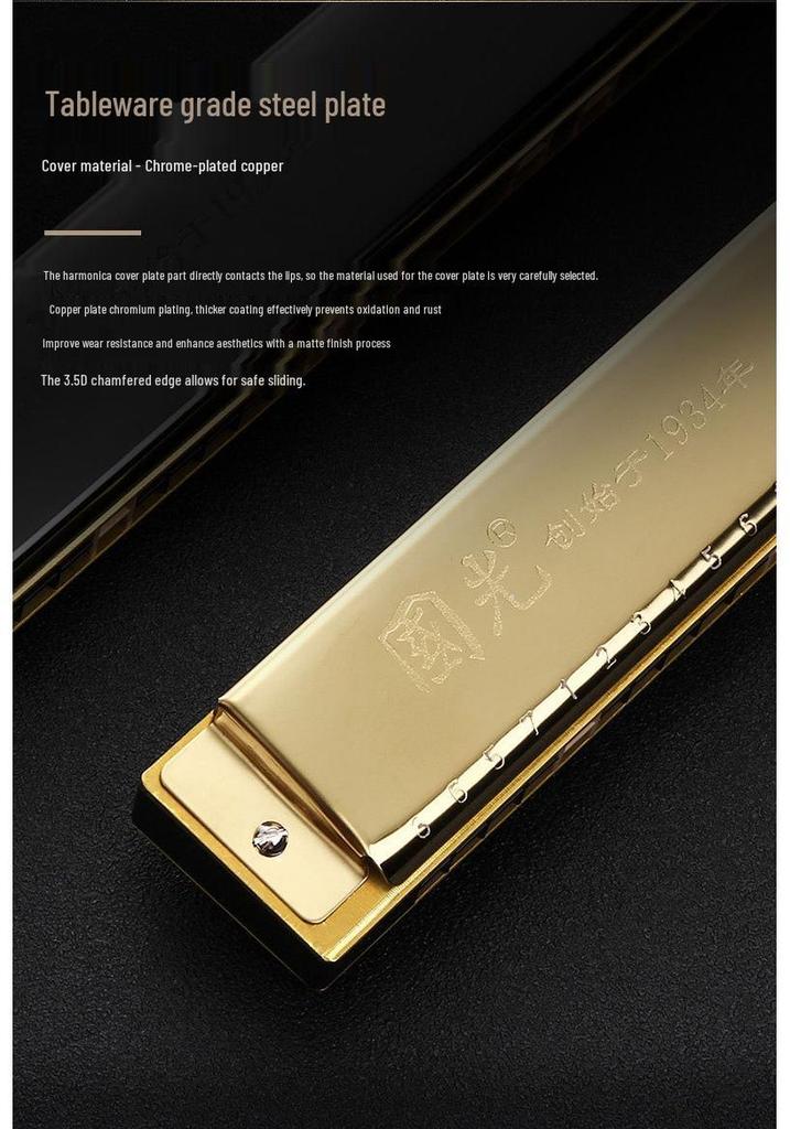 Guoguang 24-Hole Double Reed Harmonica, C Key for Beginner Students and Self-Study, Suitable for All Ages