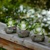 Frog Garden Statues Resin Frogs Sitting On Stone Welcome Sculptures Cute Frogs Ornament For Lawn Decoration Gift