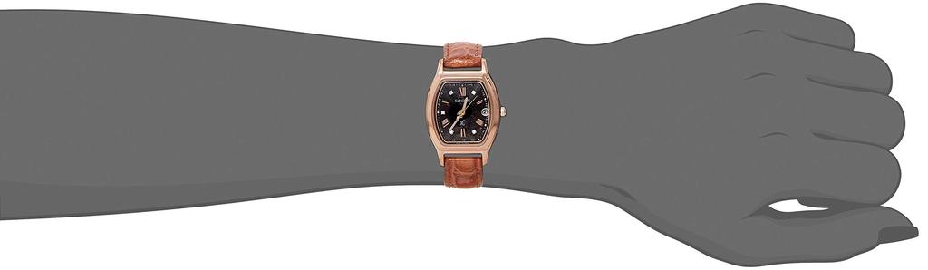 CITIZEN xC Cross Sea 100th Anniversary Limited Edition Watch Titania Line Happy Flight Radio Wave Reception Watch [Citizen] Eco-Drive Radio-Controlled