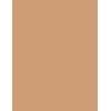 Mise Au Point Photo Wet N Wild 28ml Rosée, Beige Classique, Maquillage