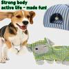 No Stuffing Dog Chew Toys Tough Interactive Squeaker Toys with Loud squeaker
