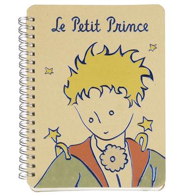 Notizblöcke & -bücher – Notizbücher