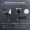 Flagship ZHIYUN MOLUS B200 200W LED Video COB Photography Lighting Compact Body with Bowens Mount [Official Store] Light, Bi-Color Light,