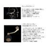 DAIWA Spinning Reel 23BG SW 4000~18000 Various (2023 Model)